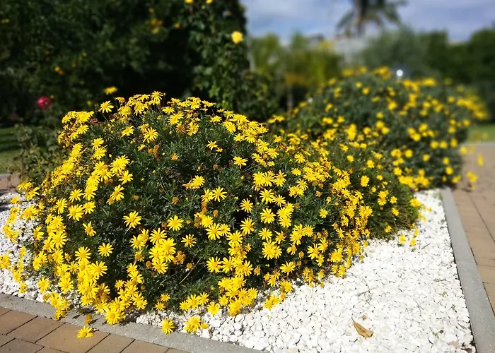 לינה וארוחת בוקר Feluchia Tra Il Mare E Il Vulcano
